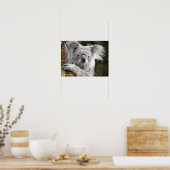Poster Australien Koala (Cuisine)