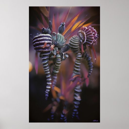 Poster Auténtico (Devant)