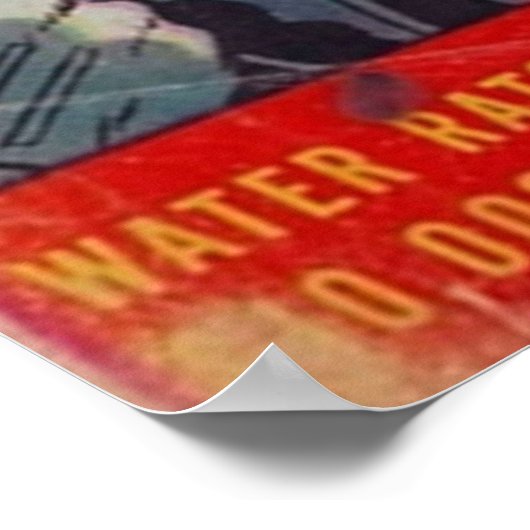 Poster Authentic Police Coques 035 (Coin)