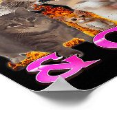 Poster Autistic And Gay Funny Cat Meme Bootleg Graphic  (Coin)