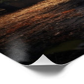 Poster Auto série 4-8 (Coin)