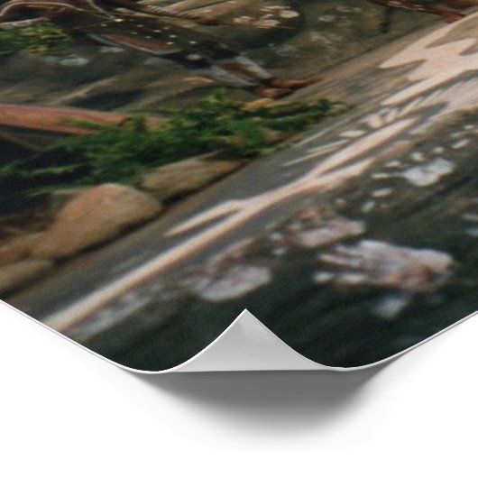 Poster Autochtone (Coin)