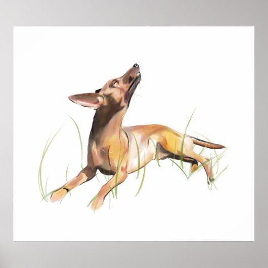 Poster Autocollant Miniature Pinscher (Devant)