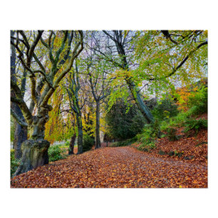 Poster Automne