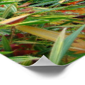 Poster Automne (Coin)