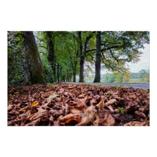 Poster Automne