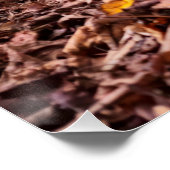 Poster Automne (Coin)
