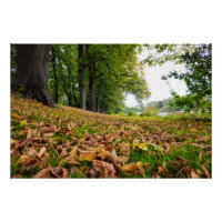Automne