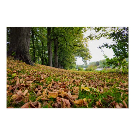 Poster Automne (Devant)