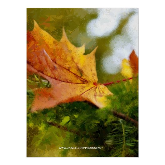 Poster Automne (Devant)