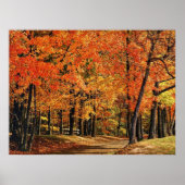 Poster Automne 30 (Devant)