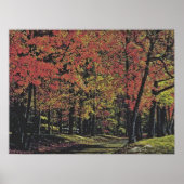 Poster Automne 30 (Devant)