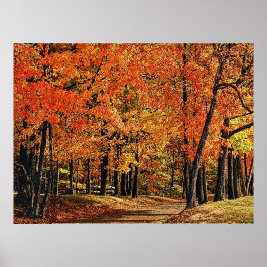 Poster Automne 30 bumpé (Devant)