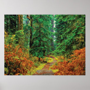 Poster Automne 31 cmyk