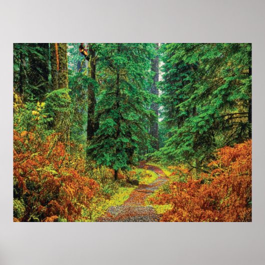 Poster Automne 31 cmyk (Devant)