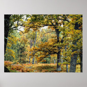 Poster Automne 34
