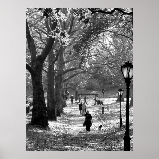 Poster Automne à Central Park 06 25 (Devant)