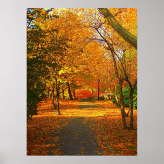 Poster Automne à Central Park 06 27