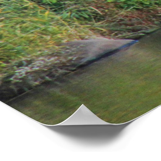 Poster Automne à Central Park : Bateaux de Bow Bridge #01 (Coin)