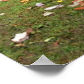 Poster Automne À L'Impression Grist Mill (Coin)