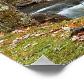 Poster Automne À L'Impression Grist Mill (Coin)