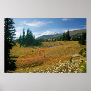 Poster Automne à plus pluvieux