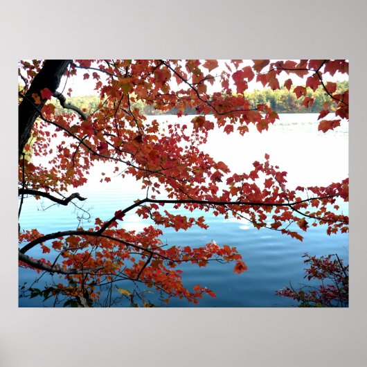 Poster Automne à Walden Pond (Devant)