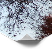 Poster Automne Arbre Automne (Coin)