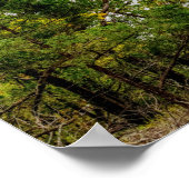 Poster Automne Au Barrage De Truman (Coin)