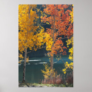 Poster Automne au lac Bear