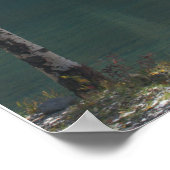 Poster Automne au lac Bear (Coin)