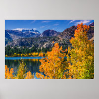 Automne autour de June Lake, Californie