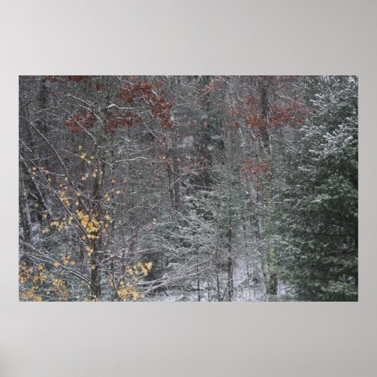 Poster Automne avant l'hiver (Devant)
