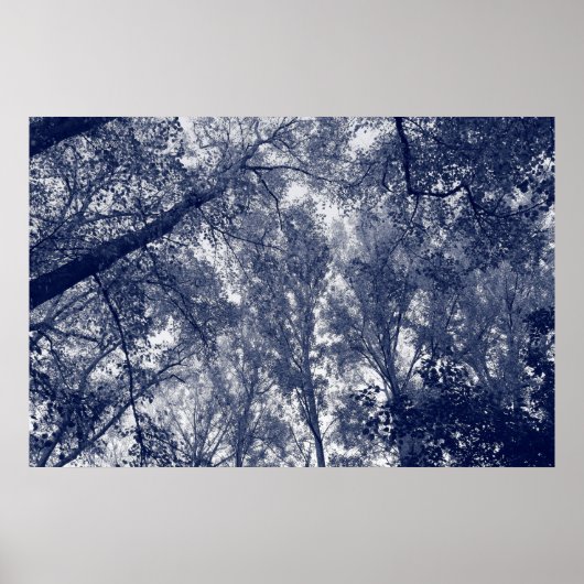 Poster Automne bleu (Devant)