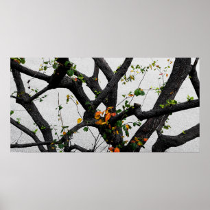 Poster Automne Branches de l'arbre d'automne