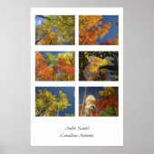 Poster Automne canadien (Devant)