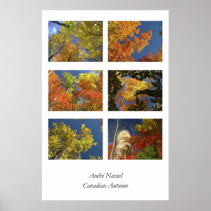 Poster Automne canadien