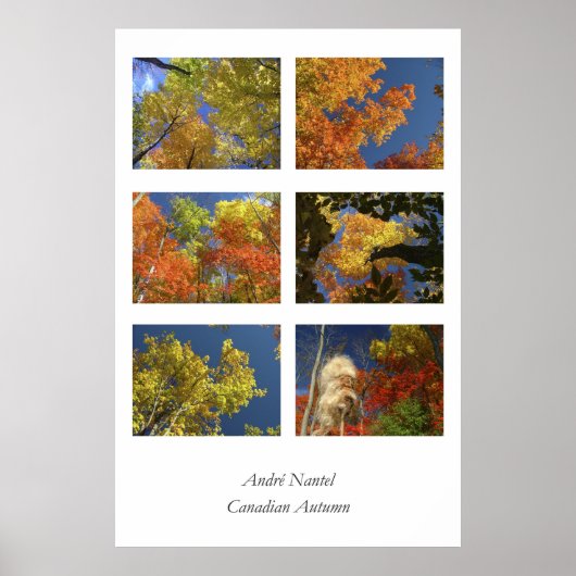 Poster Automne canadien (Devant)