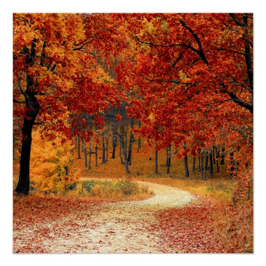 Poster automne dans la forêt (Devant)