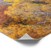 Poster Automne dans le Michigan (Coin)