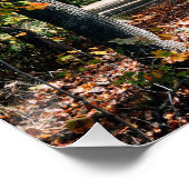 Poster Automne dans le parc Algonquin, Canada (Coin)