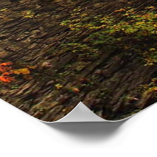 Poster Automne dans le Parc d'Etat de Treman (Coin)