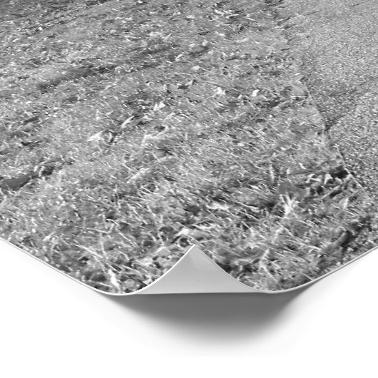 Poster Automne dans le Parc - Noir et Blanc (Coin)