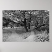 Poster Automne dans le Parc - Noir et Blanc (Devant)
