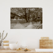 Poster Automne dans le parc - Sepia Toned BW (Cuisine)