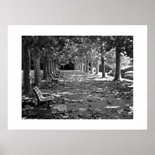 Poster Automne dans le parc : Tokyo (Devant)