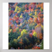 Poster Automne dans les Adirondacks (Devant)