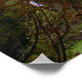 Poster Automne dans les Adirondacks (Coin)