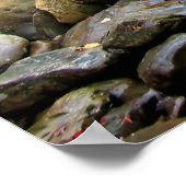 Poster Automne dans les Smokies (Coin)