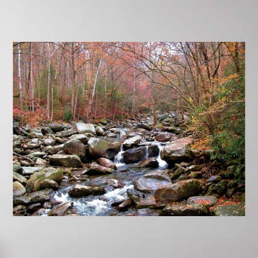 Poster Automne dans les Smokies (Devant)